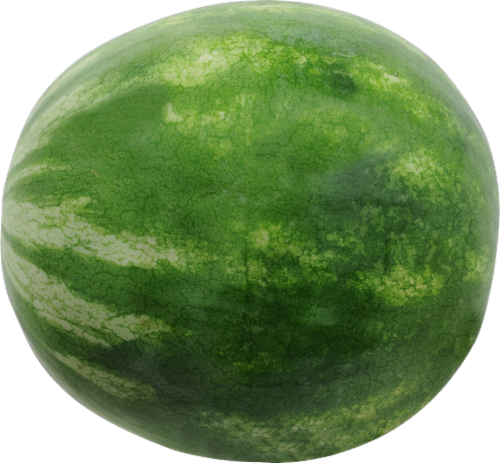 Organic Red Seedless Watermelon Perspective: front