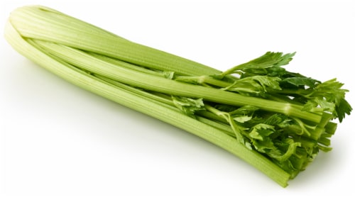 Organic Celery Perspective: front