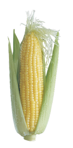 Organic Yellow Sweet Corn