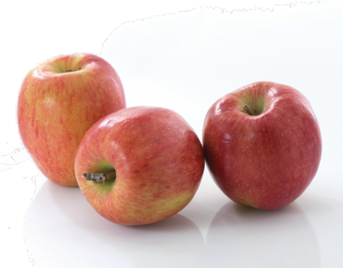 Organic Braeburn Apple