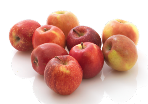 Organic Braeburn Apples Perspective: front