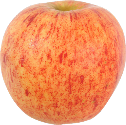 Small Organic Gala Apples Perspective: front