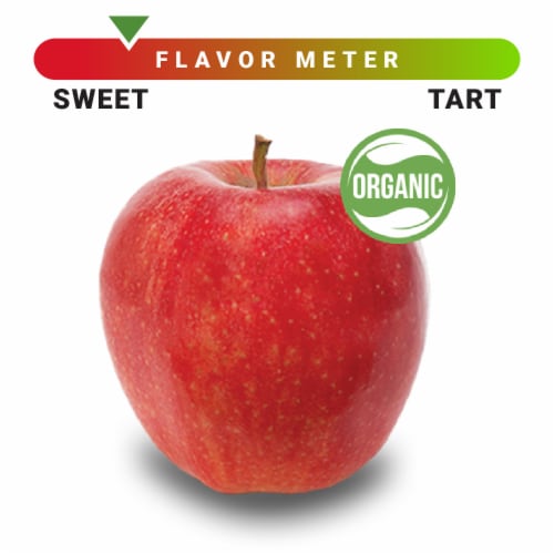 Organic Large Gala Apple – Each Perspective: front