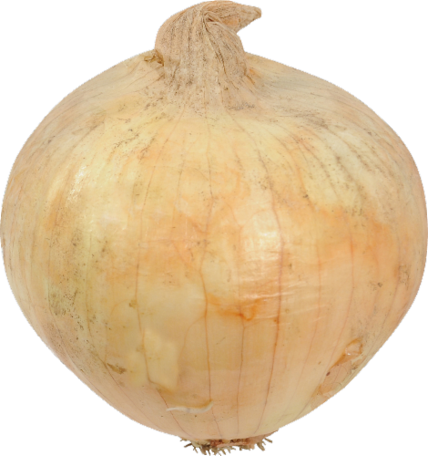 Organic Sweet Onions Perspective: front