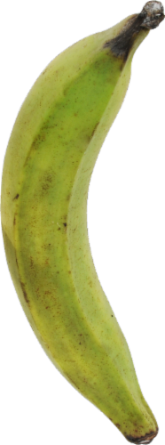 Organic Plantains Perspective: front