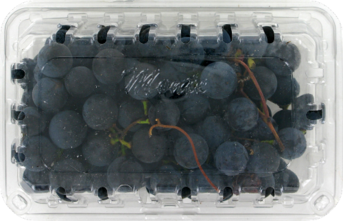Organic Concord Grapes Perspective: front
