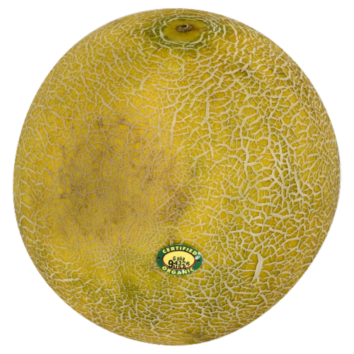 Organic Galia Melon Perspective: front