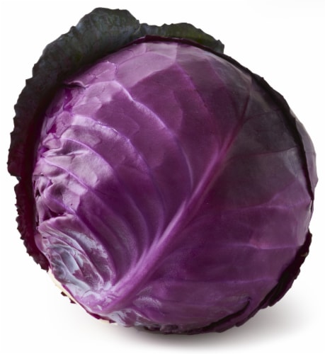 Organic Red Cabbage Perspective: front