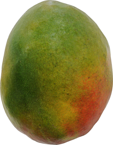 Organic Mangoes Perspective: front