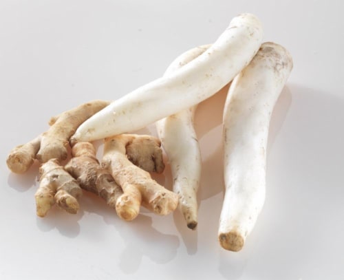 Organic Daikon Radish Perspective: front