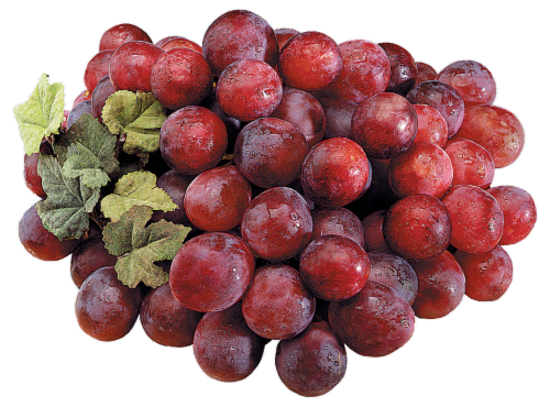 Organic Red Globe Grapes Perspective: front