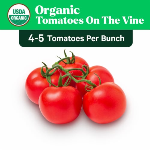 Fresh Organic On the Vine Tomatoes (4-5 Tomatoes per Bunch) Perspective: front