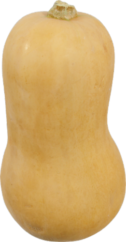 Organic Buttercup Squash Perspective: front