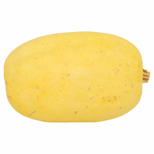 Organic Spaghetti Squash Perspective: front
