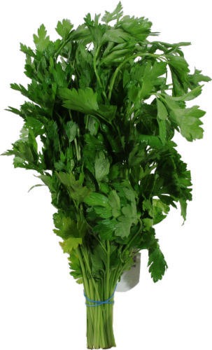 Organic Italian Parsley Perspective: front