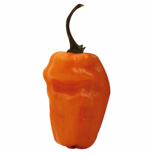 Habanero Peppers Perspective: front