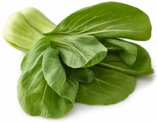Shanghai Bok Choy Perspective: front