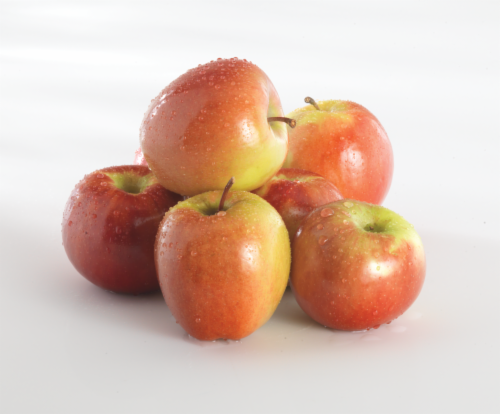 Large Jazz Apples Perspective: front