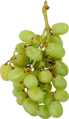 White Seedless Grapes Perspective: front