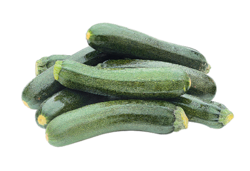 Zucchini Perspective: front