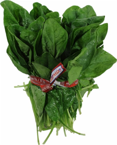 Spinach Perspective: front
