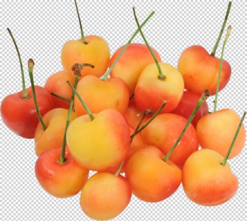 Rainier Cherries Perspective: front