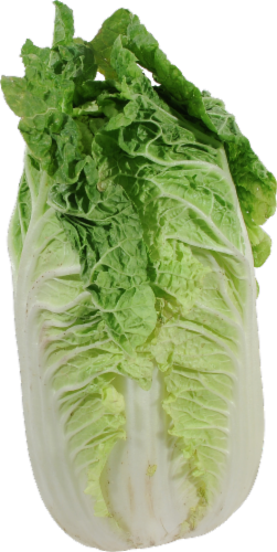 Napa Cabbage Perspective: front