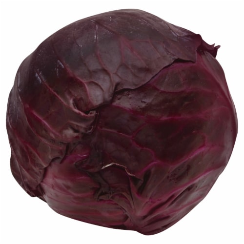 Red Cabbage Perspective: front