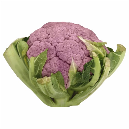 Purple Cauliflower Perspective: front