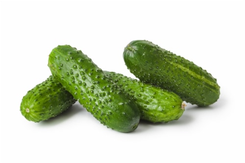 Pickeling Cucumbers Perspective: front