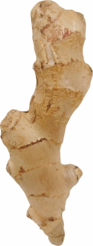 Ginger Root Perspective: front