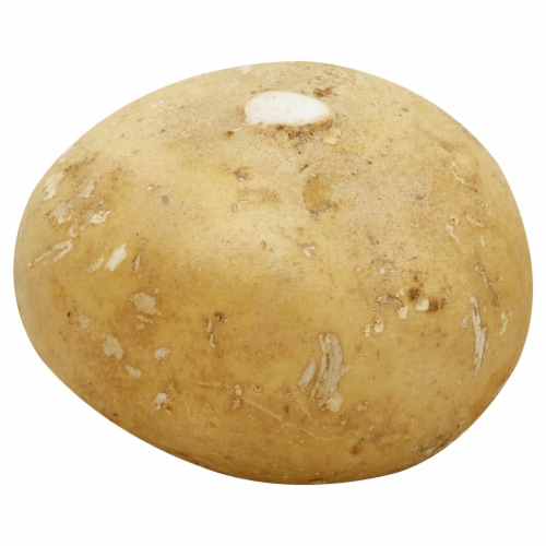 Jicama Perspective: front