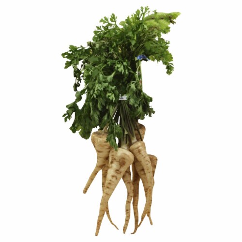 Parsley Roots Perspective: front