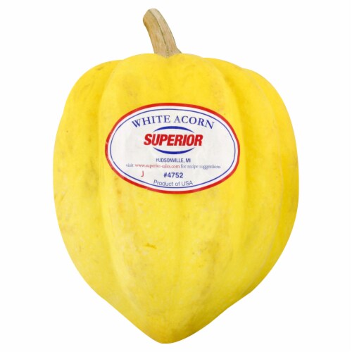 Danish White Squash Perspective: front