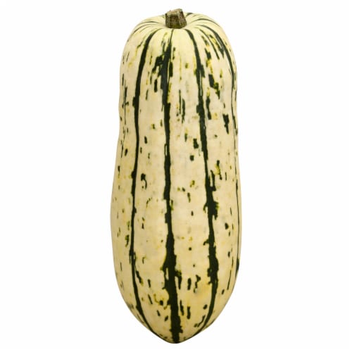 Delicata Squash Perspective: front