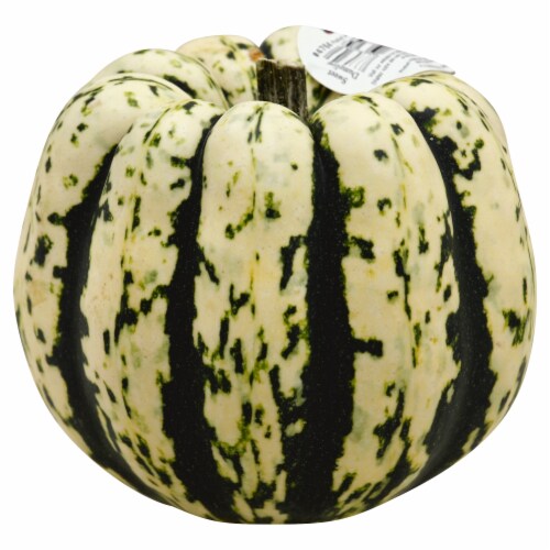 Sweet Dumpling Squash Perspective: front