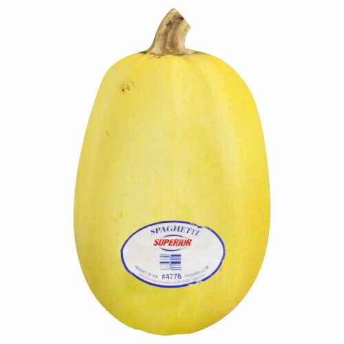Spaghetti Squash Perspective: front
