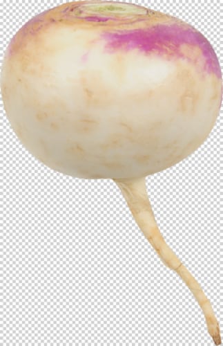 Turnip Perspective: front