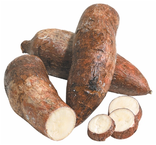 Yucca Root Perspective: front