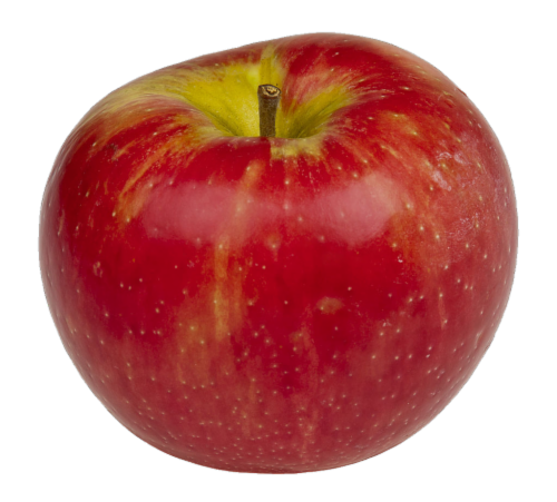 Organic Honeycrisp Apples Perspective: front