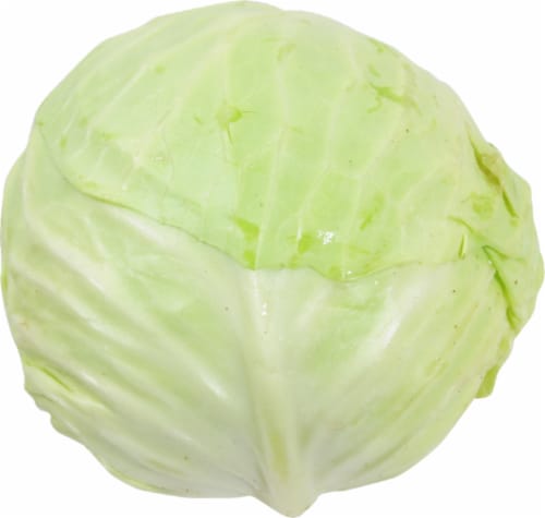 Organic Green Cabbage Perspective: front