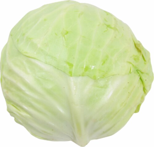 Organic Green Cabbage Perspective: front