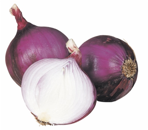 Organic Red Onion Perspective: front
