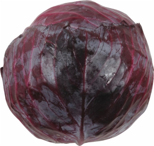 Organic Red Cabbage Perspective: front