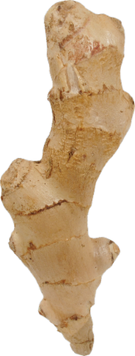Organic Ginger Root Perspective: front