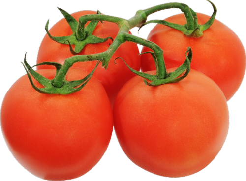 Organic On the Vine Tomatoes (4-5 Tomatoes per Bunch) Perspective: front