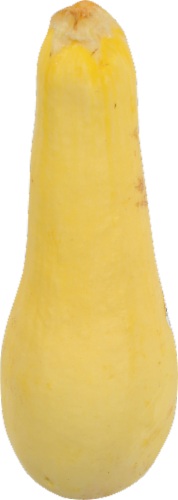 Organic Yellow Squash Perspective: front