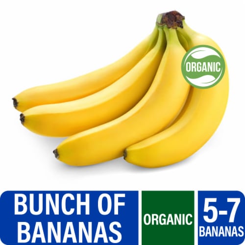 Fresh Bunch of Organic Bananas – 5-7 Bananas Perspective: front