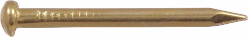 Hillman Escutcheon Pins - Brass-Plated - 16 x 1 in Perspective: front