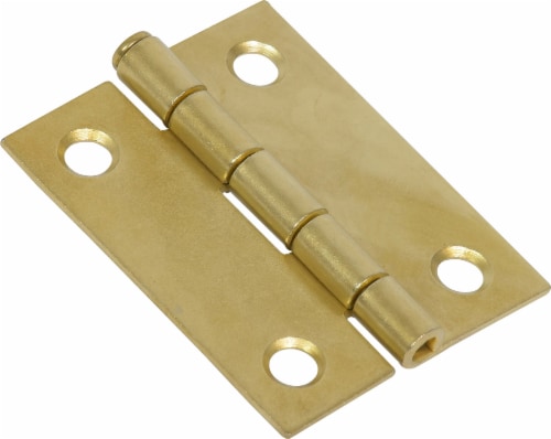 Hillman Light Narrow Door Hinge - Brass Perspective: front